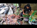 Camping and fishing to survive in the middle of the Kalimantan forest solo camping-bushcraft