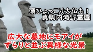 【どうみん割で5泊6日旅5日目】何十体ものモアイが並ぶとんでもない広大な墓地！そして頭だけが飛び出た大仏「真駒内滝野霊園」北海道札幌 Cemetery, Sapporo,Hokkaido, Japan