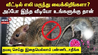 வீட்டில் எலி மருந்து வைக்கிறீங்களா? - அப்போ இந்த வீடியோ உங்களுக்கு தான் - உஷார் மக்களே | Rodenticide