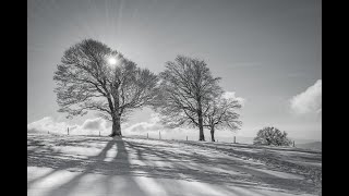 Sedula_Vaikštinėjo povelė po dvarų (Lithuanian folk song)