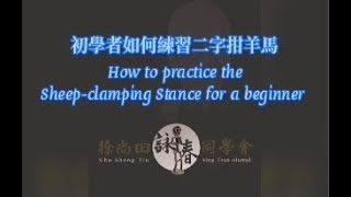 Wing Chun - CST 初學者如何練習二字拑羊馬（徐貫通）How to practice the Sheep-clamping Stance for beginner (Horace Chu)