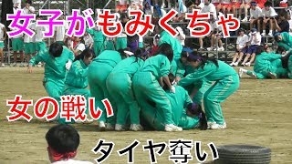 高知商業高校 体育祭 女子がもみくちゃタイヤ奪い　名物種目w