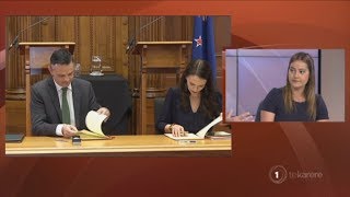 Greens sign agreement with Labour, milestone reached