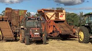 Thrashing Peanuts at Kingaroy District Machinery Club April 2023