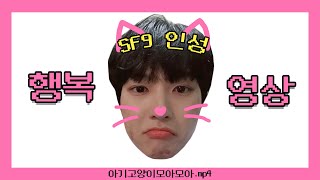 [SF9 인성] 행복영상/ 입덕영상 /영상모음