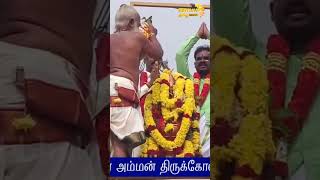 திருவண்ணாமலை ஸ்ரீ பிள்ளை தந்தாள் அம்மன் திருக்கோவில் கும்பாபிஷேகம் #shorts #britaintamilbhakthi