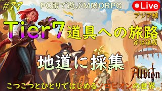 こつこつとひとりではじめるソロビオンの世界 #77【PC版】AlbionOnline May.24.2023