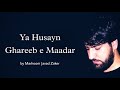 Ya Hussain Ghareeb Mader | Seyed Javad Zaker