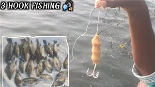 traditional treble hook fishing 🎣#unique fishing tamil#tilapia fishing #lake fishing tamil#fishing