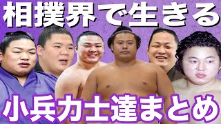 相撲界で生きる小兵力士まとめ！