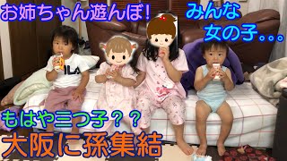 【もはや三つ子！？】大阪に孫集合！仲良く遊べるかな？男女双子赤ちゃん生後1歳7ヶ月Mix twins Is it already triplets? Grandchild meeting