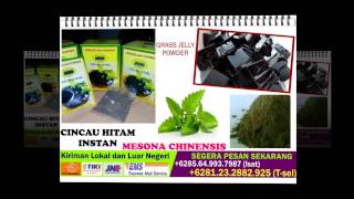 Cincau Hitam Instan, Harga Cincau Hitam 2015, Grass Jelly Powder, +6281 232 882 925