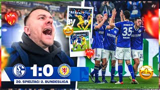 Erlösung im ABSTIEGSKAMPF 😨😱 Schalke vs Braunschweig STADION VLOG 🏟️