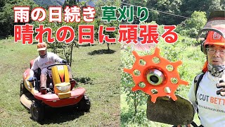 雨が続くので草がボーボーです。晴れの日に頑張る！