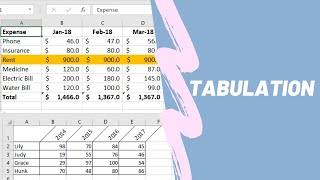 Tabulation/Tabular Work (Part 1)| CSEC EDPM