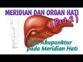 MERIDIAN DAN ORGAN HATI (Part-2)*Eps-19. 