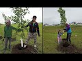 bruderheim volunteers plant 37 trees at community park