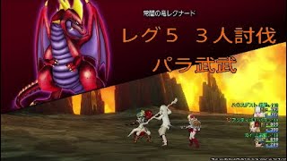 ドラクエ10　レグ５パラ武武３人討伐　19分04秒04