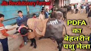 👍13th PDFA MELA- organised @Jagraon, Punjab. Super #Livestock taking part in this EXPO.👍