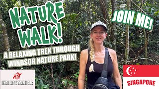 Relaxing ASMR Nature Walk at Windsor Nature Park, Singapore – Vibrant Green Trails \u0026 Lush Landscapes