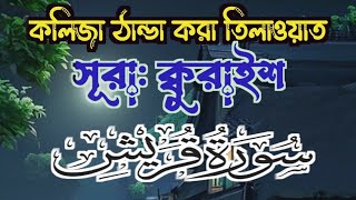 তিলাওয়াত,//Sorah Quraish//সূরা: ক্বুরাইশ//🎤Hafiz Mahmudul Hasan / islamic_Educetion_midia