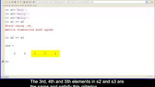 Logical operations with strings and the use of the strcmp function in MATLAB.