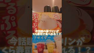 【猫プリンがくらずしで食べれるらしい！？】 #猫 #プリン #くら寿司 #スイーツ #話題 #shorts