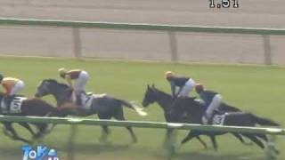 2009年11月7日 東京4R 障害未勝利 トキメキヒーロー