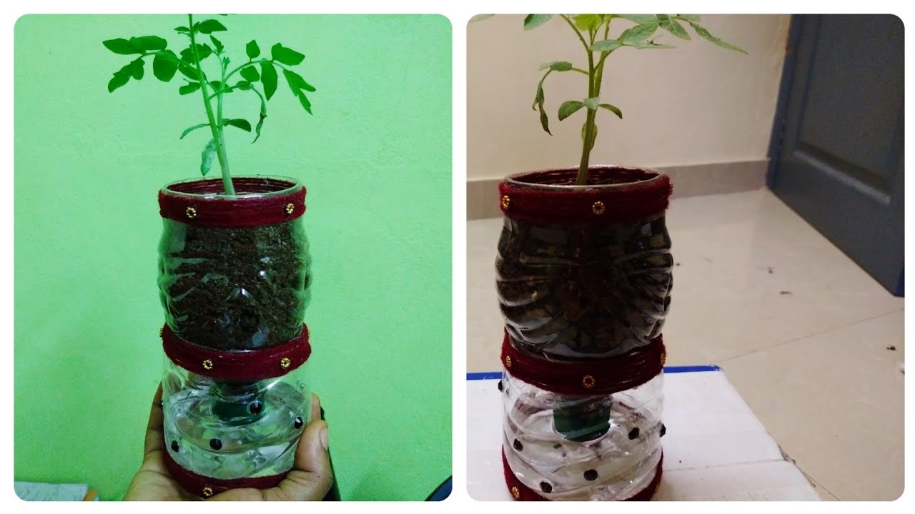 Self Watering System For Plants Using Waste Plastic Bottle - YouTube