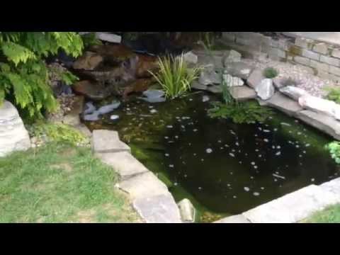 How to build a natural looking garden fish pond with waterfall How to build a natural looking garden fish pond with waterfall