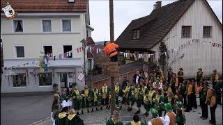 Narrenbaumstellen Narrentage 27.01.2018 Gailingen  NZ Eichelklauber Gailingen e.V. (4K)