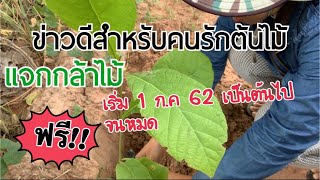 แจกกล้าไม้ฟรีทั่วประเทศที่กรมป่าไม้ประจำจังหวัด และการเตรียมเอกสารไปรับกล้าไม้