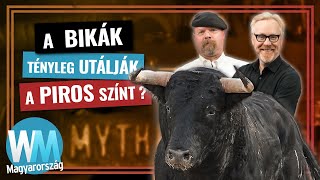 Top 10 mítosz, amit megbuktattak az Állítólag...-ban