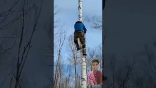 এই ভাই টার বুদ্ধি দেইখা আমি অবাক 😲 #woodworking #facts #funny #ytshorts #tree #tools #youtubeshorts