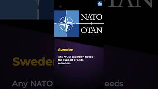 Finland to Become 31st Member of NATO Military Alliance | UPSC | NEXT IAS