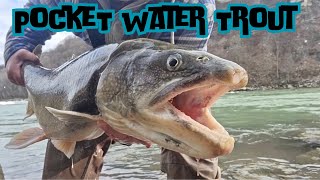 Pocket water drifting for Lake Trout on the Niagara River