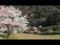 20180331_d51200津和野