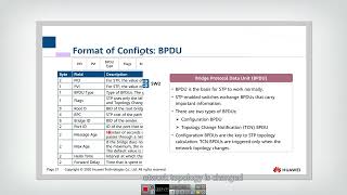 9.2.1 STP Basic Concepts