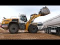 liebherr l586 and l566 wheeled loaders handling sand