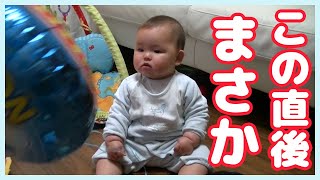 【癒やし】風船の動きがツボすぎて笑いが止まらない赤ちゃん 【生後8ヶ月】#shorts