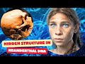 The Hidden Structures in Neanderthal DNA