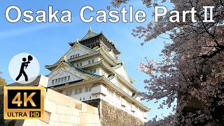 Osaka Castle🏯 with Cherry Blossom🌸 Part II, Osaka Walking View, WITH SUBTITLE - 大阪城と桜