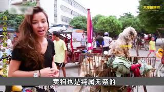 国外美女探访狗肉节，狗市场竟然这么残忍，看得眼泪都流出来了