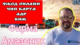 95 код онлайн АДР чип карта ВНЖ трудоустройства. фирма амазоник