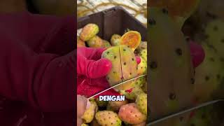 buah apakah ini?