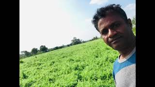 2019 Year End Crops Hosachiguru integrated farm