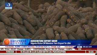 Business Morning: Analysing Nigeria's Massive Yam Export Drive Pt 1