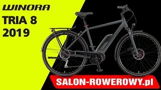 rower Winora Tria 8 męski 2019 www.salon-rowerowy.pl