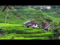 Kampung Indah, Banjarwangi Sejuk. Di Jawa Barat, Garut Selatan | Suasana Pedesaan Sunda