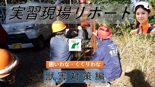 実習現場リポート(獣害対策編)